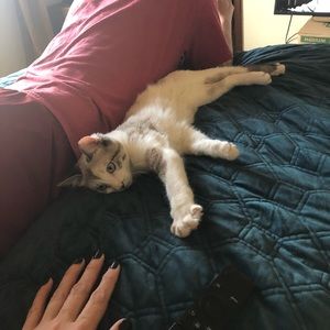 Meet your Posher, Apryl